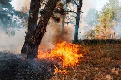 incendiincendi